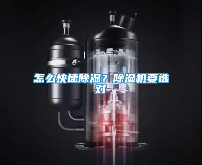 怎么快速除湿？MR.好色破解版要选对