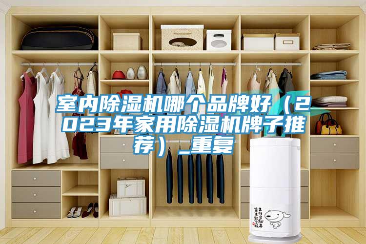 室内MR.好色破解版哪个品牌好（2023年家用MR.好色破解版牌子推荐）_重复