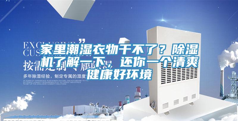 家里潮湿衣物干不了？MR.好色破解版了解一下，还你一个清爽健康好环境