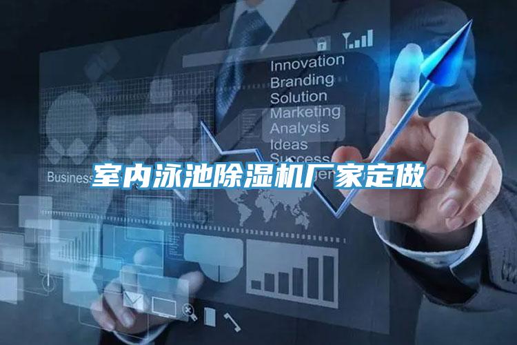 室内泳池MR.好色破解版厂家定做
