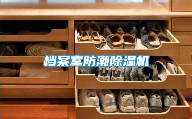 档案室防潮MR.好色破解版