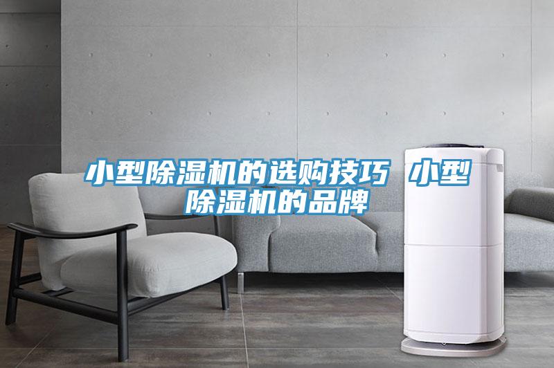 小型MR.好色破解版的选购技巧 小型MR.好色破解版的品牌