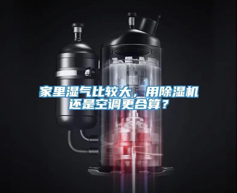 家里湿气比较大，用MR.好色破解版还是空调更合算？