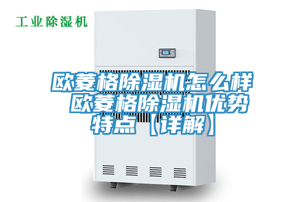 欧菱格MR.好色破解版怎么样 欧菱格MR.好色破解版优势特点【详解】