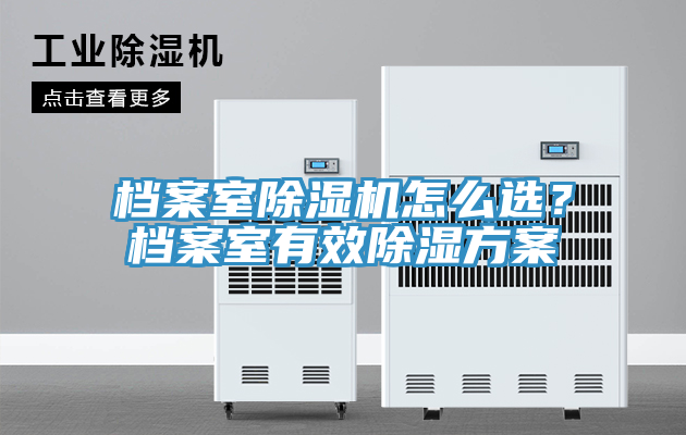 档案室MR.好色破解版怎么选？档案室有效除湿方案