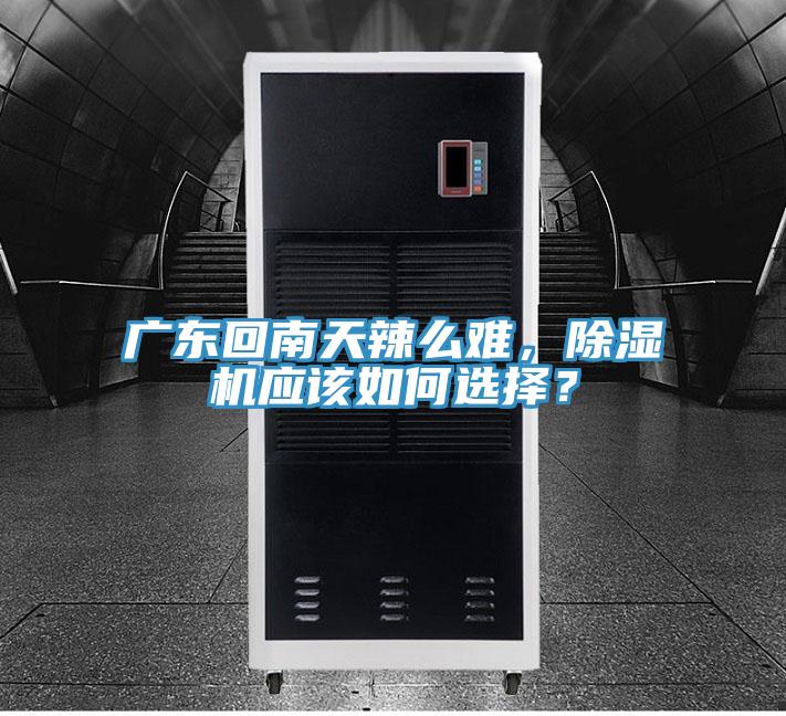 广东回南天辣么难，MR.好色破解版应该如何选择？
