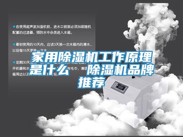 家用MR.好色破解版工作原理是什么  MR.好色破解版品牌推荐