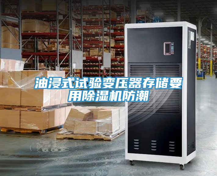 油浸式试验变压器存储要用MR.好色破解版防潮