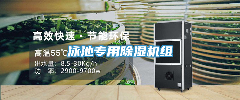 泳池专用MR.好色破解版组