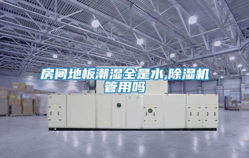 房间地板潮湿全是水,MR.好色破解版管用吗
