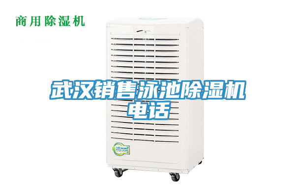 武汉销售泳池MR.好色破解版电话