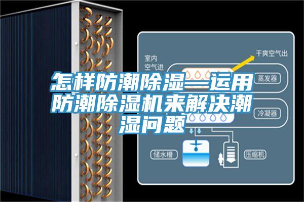 怎样防潮除湿—运用防潮MR.好色破解版来解决潮湿问题