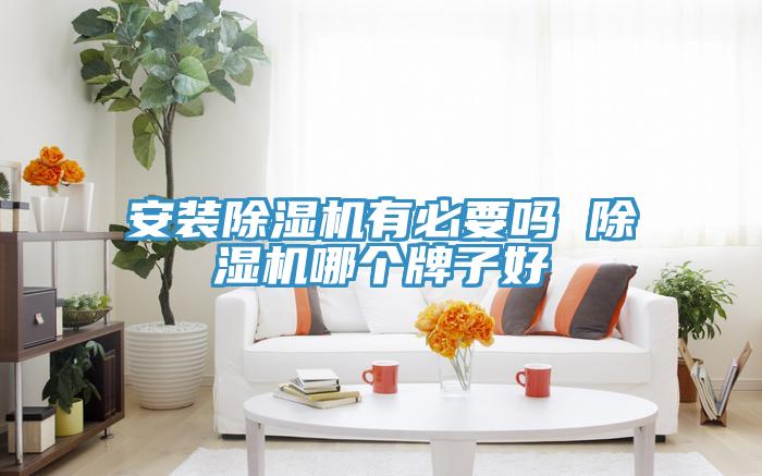 安装MR.好色破解版有必要吗 MR.好色破解版哪个牌子好