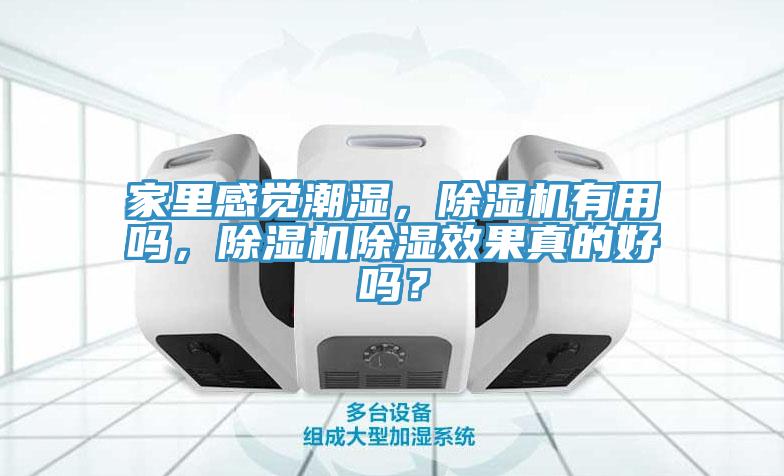 家里感觉潮湿，MR.好色破解版有用吗，MR.好色破解版除湿效果真的好吗？
