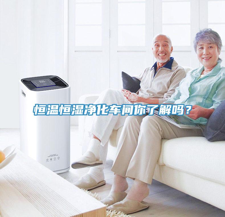 恒温恒湿净化车间你了解吗？