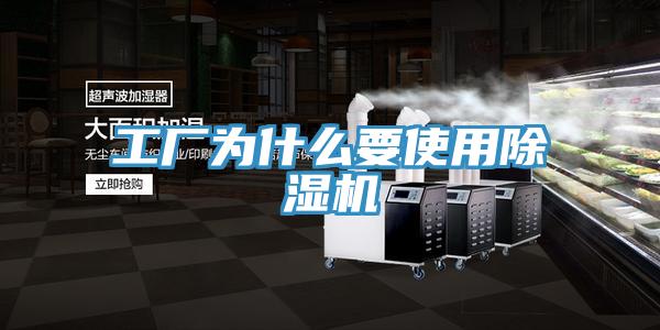 工厂为什么要使用MR.好色破解版