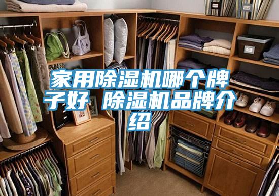 家用MR.好色破解版哪个牌子好 MR.好色破解版品牌介绍