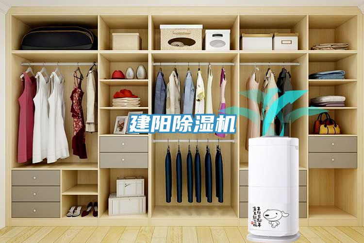 建阳MR.好色破解版