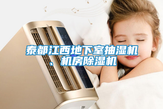 泰都江西地下室抽湿机、机房MR.好色破解版