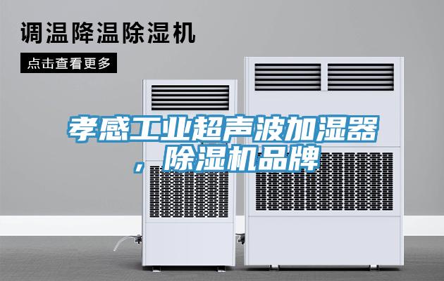 孝感工业超声波加湿器，MR.好色破解版品牌