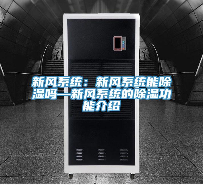 新风系统：新风系统能除湿吗—新风系统的除湿功能介绍