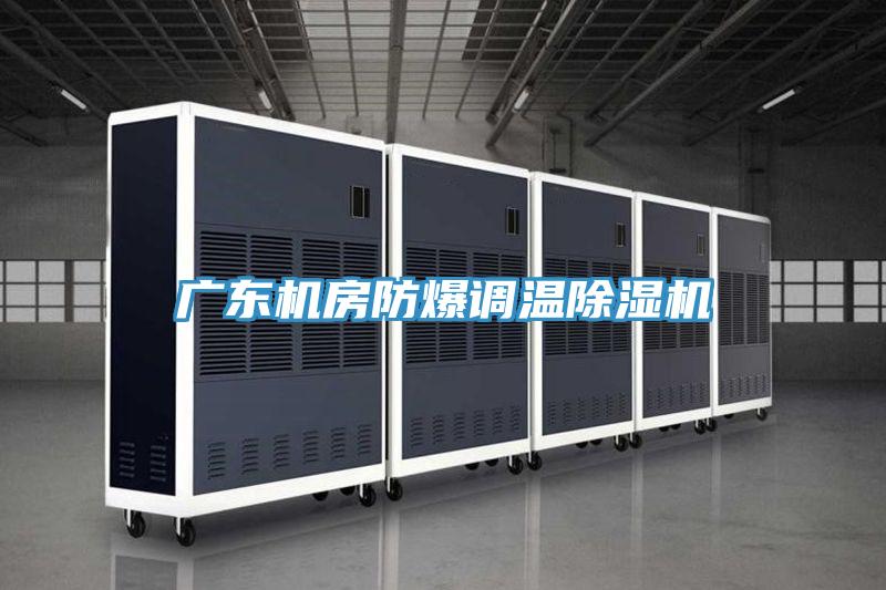 广东机房防爆调温MR.好色破解版