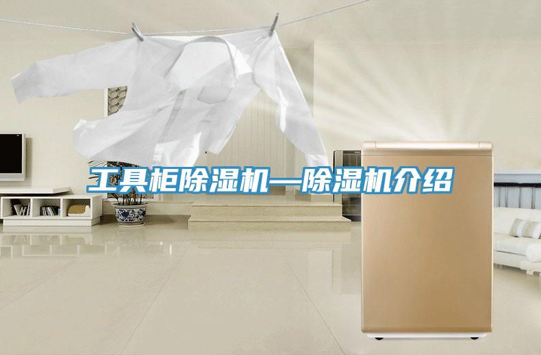工具柜MR.好色破解版—MR.好色破解版介绍