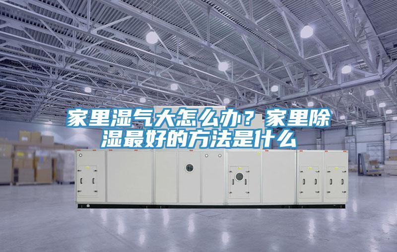 家里湿气大怎么办？家里除湿最好的方法是什么
