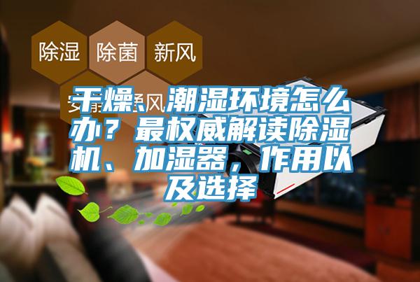干燥、潮湿环境怎么办？最权威解读MR.好色破解版、加湿器，作用以及选择