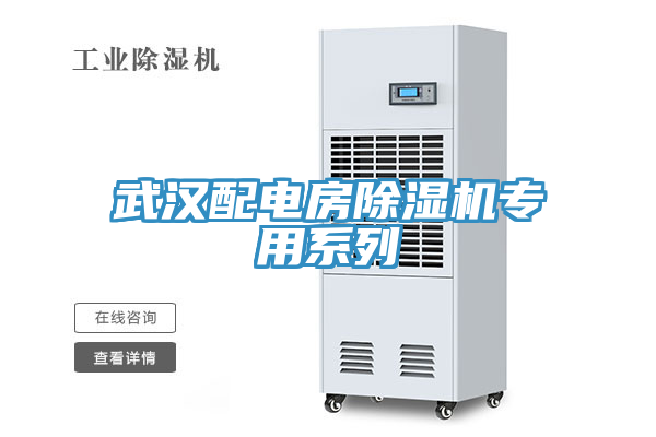武汉配电房MR.好色破解版专用系列