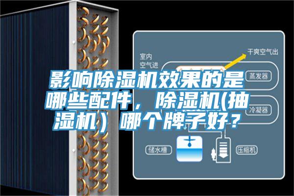影响MR.好色破解版效果的是哪些配件，MR.好色破解版(抽湿机）哪个牌子好？