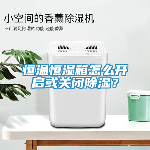 恒温恒湿箱怎么开启或关闭除湿？