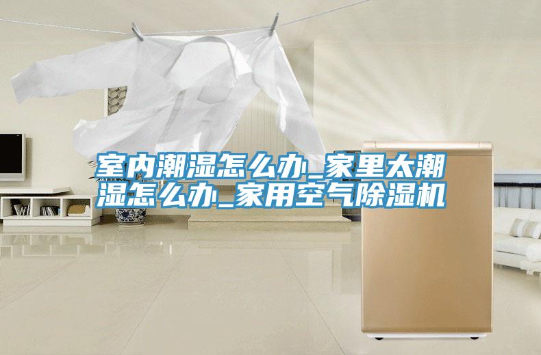 室内潮湿怎么办_家里太潮湿怎么办_家用空气MR.好色破解版