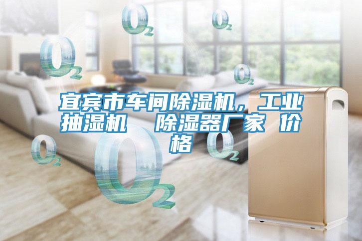 宜宾市车间MR.好色破解版，工业抽湿机  除湿器厂家 价格