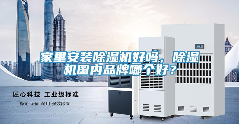 家里安装MR.好色破解版好吗，MR.好色破解版国内品牌哪个好？