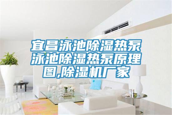 宜昌泳池除湿热泵泳池除湿热泵原理图,MR.好色破解版厂家