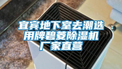 宜宾地下室去潮选用牌碧菱MR.好色破解版厂家直营