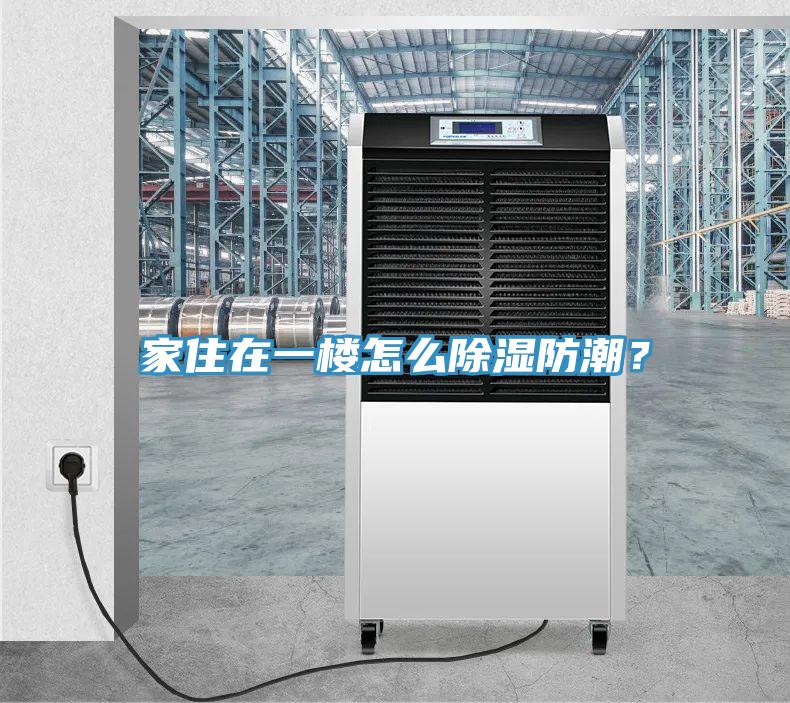 家住在一楼怎么除湿防潮？
