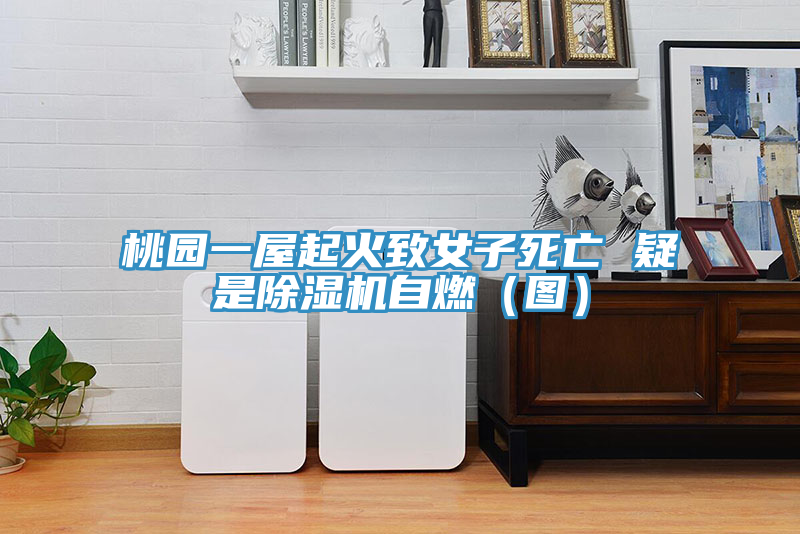桃园一屋起火致女子死亡 疑是MR.好色破解版自燃（图）