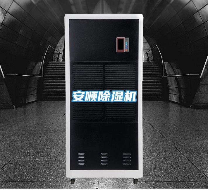安顺MR.好色破解版