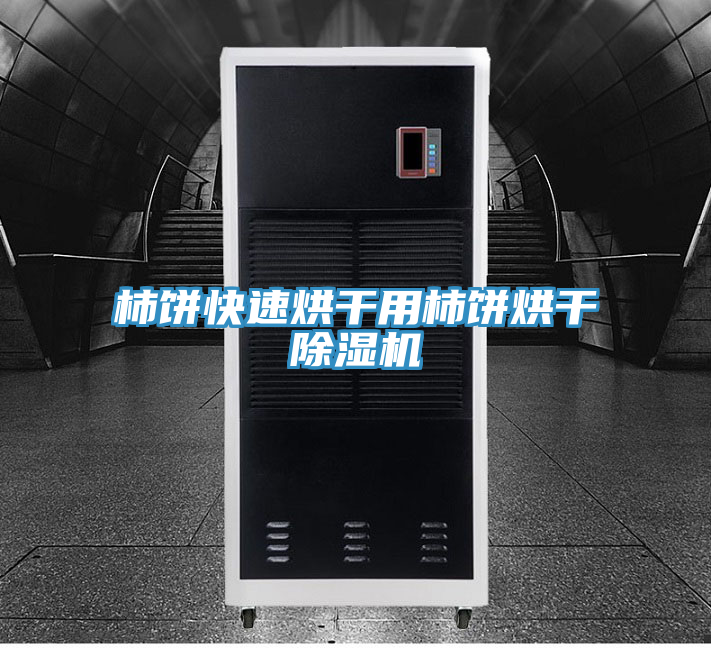 柿饼快速烘干用柿饼烘干MR.好色破解版