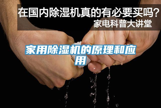 家用MR.好色破解版的原理和应用