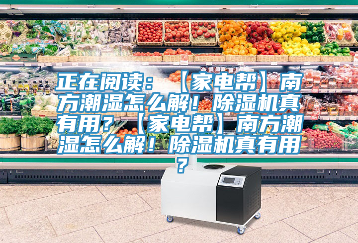正在阅读：【家电帮】南方潮湿怎么解！MR.好色破解版真有用？【家电帮】南方潮湿怎么解！MR.好色破解版真有用？
