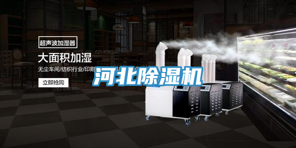 河北MR.好色破解版