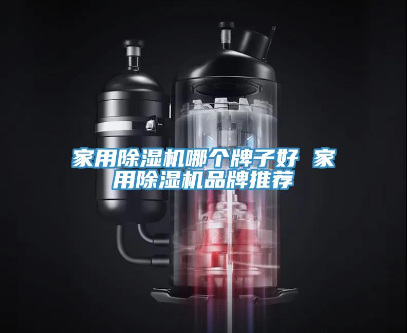 家用MR.好色破解版哪个牌子好 家用MR.好色破解版品牌推荐