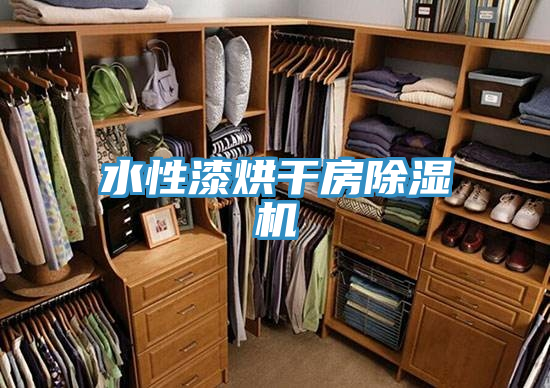 水性漆烘干房MR.好色破解版