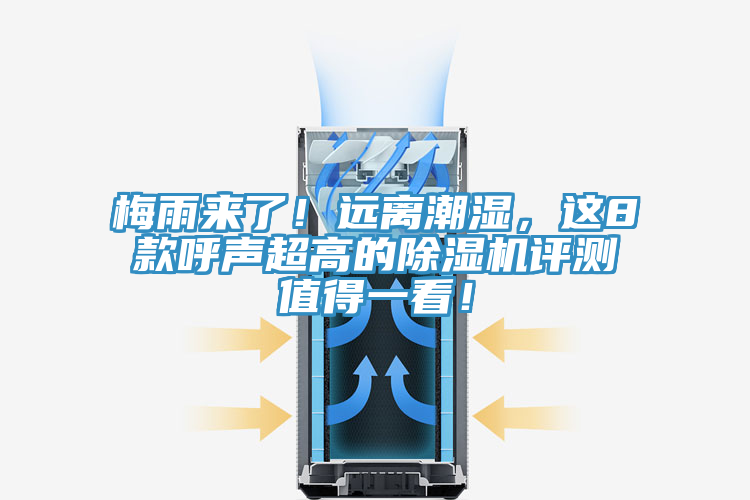 梅雨来了！远离潮湿，这8款呼声超高的MR.好色破解版评测值得一看！