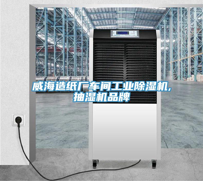 威海造纸厂车间工业MR.好色破解版,抽湿机品牌