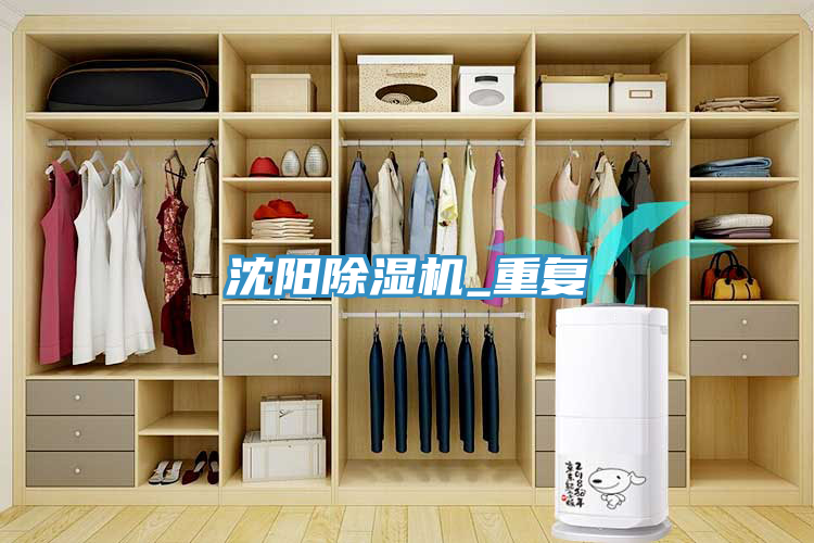 沈阳MR.好色破解版_重复