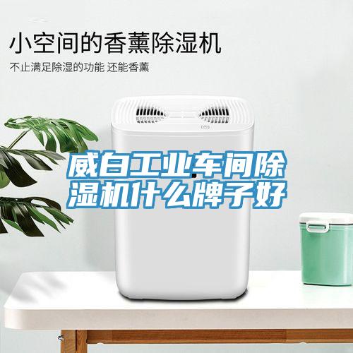 威白工业车间MR.好色破解版什么牌子好